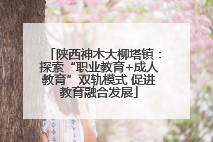 陕西神木大柳塔镇：探索“职业教育+成人教育”双轨模式 促进教育融合发展