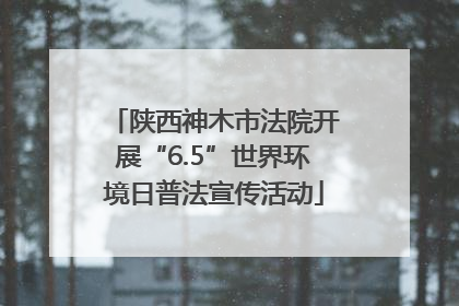 陕西神木市法院开展“6.5”世界环境日普法宣传活动
