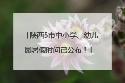 陕西5市中小学、幼儿园暑假时间已公布！
