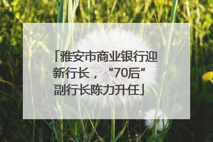 雅安市商业银行迎新行长，“70后”副行长陈力升任