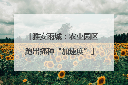 雅安雨城：农业园区跑出播种“加速度”