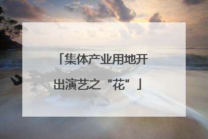 集体产业用地开出演艺之“花”