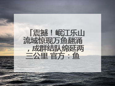 震撼！岷江乐山流域惊现万鱼翻涌，成群结队绵延两三公里 官方：鱼群在此产卵