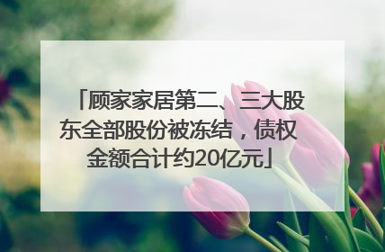 顾家家居第二、三大股东全部股份被冻结，债权金额合计约20亿元