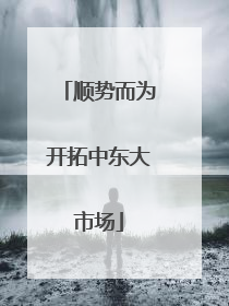 顺势而为开拓中东大市场