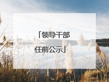 领导干部任前公示