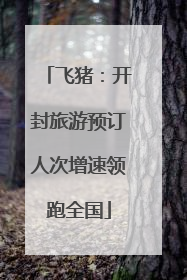 飞猪：开封旅游预订人次增速领跑全国