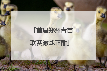 首届郑州青苗联赛激战正酣