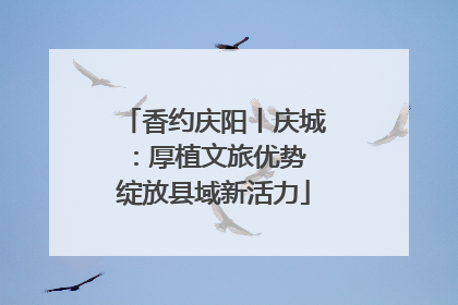 香约庆阳丨庆城：厚植文旅优势 绽放县域新活力