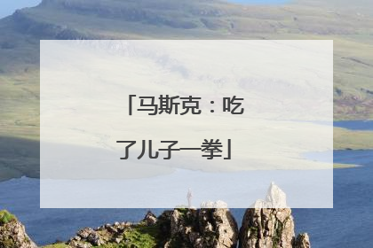 马斯克：吃了儿子一拳