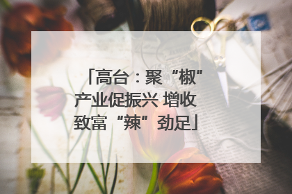 高台：聚“椒”产业促振兴 增收致富“辣”劲足