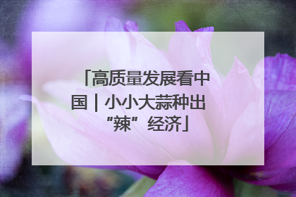 高质量发展看中国｜小小大蒜种出“辣”经济