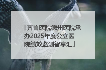 齐鲁医院德州医院承办2025年度公立医院绩效监测智享汇