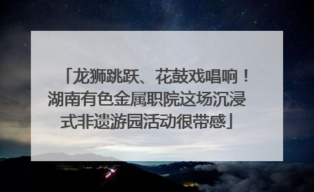 龙狮跳跃、花鼓戏唱响！湖南有色金属职院这场沉浸式非遗游园活动很带感