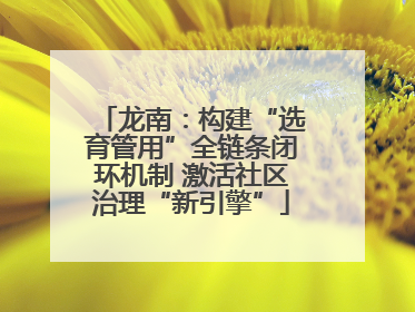 龙南：构建“选育管用”全链条闭环机制 激活社区治理“新引擎”