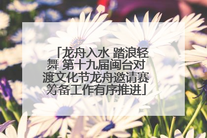 龙舟入水 踏浪轻舞 第十九届闽台对渡文化节龙舟邀请赛筹备工作有序推进