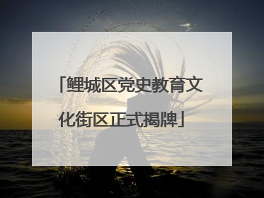 鲤城区党史教育文化街区正式揭牌
