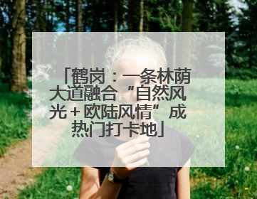 鹤岗：一条林荫大道融合“自然风光＋欧陆风情”成热门打卡地