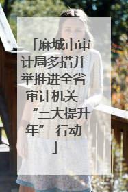 麻城市审计局多措并举推进全省审计机关 “三大提升年” 行动