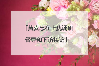 黄喜忠在上犹调研督导和下访接访