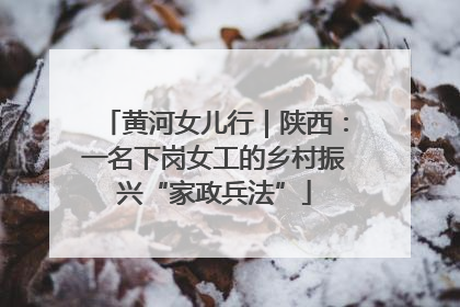 黄河女儿行｜陕西：一名下岗女工的乡村振兴“家政兵法”