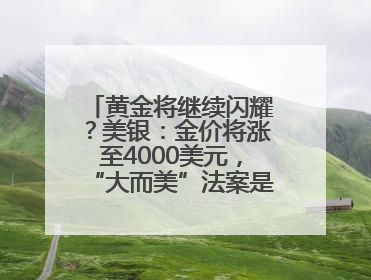 黄金将继续闪耀？美银：金价将涨至4000美元，“大而美”法案是关键！