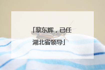 黎东辉，已任湖北省领导