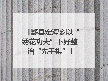 黟县宏潭乡以“绣花功夫”下好整治“先手棋”