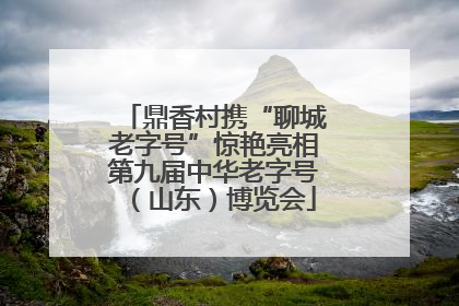 鼎香村携“聊城老字号”惊艳亮相第九届中华老字号（山东）博览会