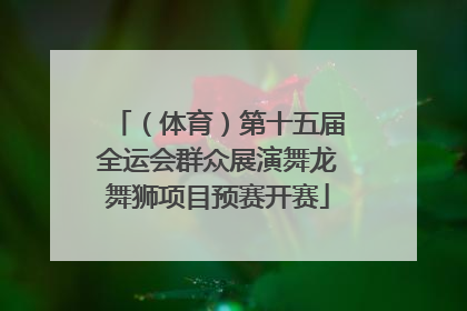 （体育）第十五届全运会群众展演舞龙舞狮项目预赛开赛