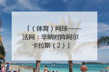 （体育）网球——法网：辛纳对阵阿尔卡拉斯（2）