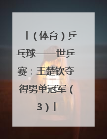 （体育）乒乓球——世乒赛：王楚钦夺得男单冠军（3）