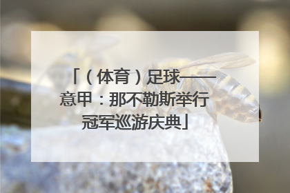 （体育）足球——意甲：那不勒斯举行冠军巡游庆典