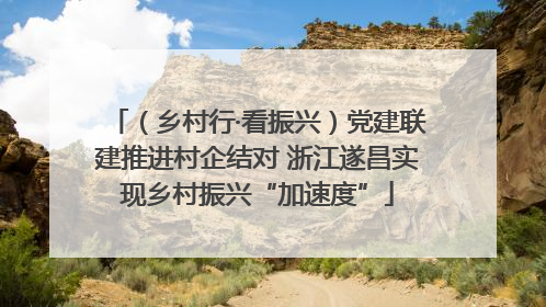 （乡村行·看振兴）党建联建推进村企结对 浙江遂昌实现乡村振兴“加速度”