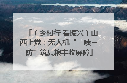 (乡村行·看振兴)山西上党:无人机“一喷三防”筑夏粮丰收屏障
