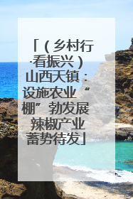 （乡村行·看振兴）山西天镇：设施农业“棚”勃发展 辣椒产业蓄势待发