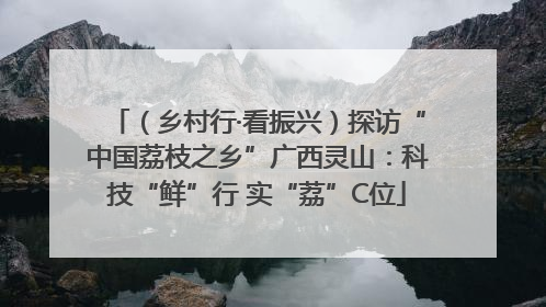 （乡村行·看振兴）探访“中国荔枝之乡”广西灵山：科技“鲜”行 实“荔”C位