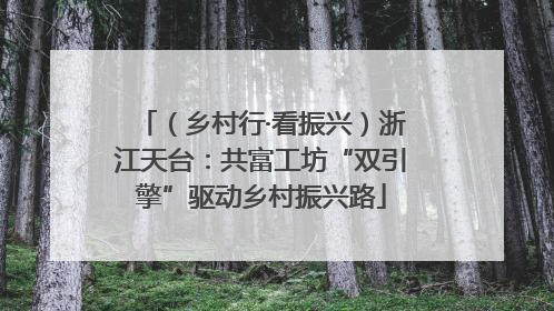 （乡村行·看振兴）浙江天台：共富工坊“双引擎”驱动乡村振兴路