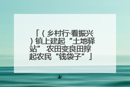 （乡村行·看振兴）镇上建起“土地驿站” 农田变良田撑起农民“钱袋子”