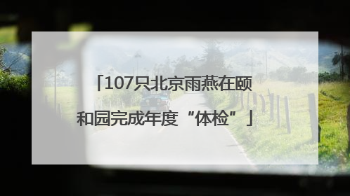 107只北京雨燕在颐和园完成年度“体检”