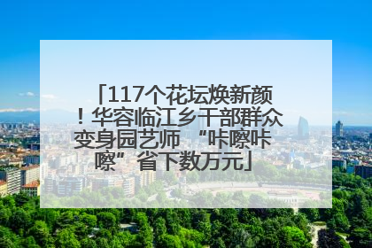 117个花坛焕新颜！华容临江乡干部群众变身园艺师 “咔嚓咔嚓”省下数万元