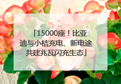 15000座！比亚迪与小桔充电、新电途共建兆瓦闪充生态