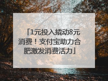 1元投入撬动8元消费！支付宝助力合肥激发消费活力