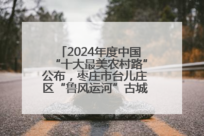 2024年度中国“十大最美农村路”公布，枣庄市台儿庄区“鲁风运河”古城文化廊道上榜！