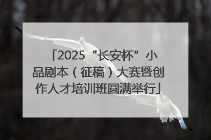 2025“长安杯”小品剧本（征稿）大赛暨创作人才培训班圆满举行