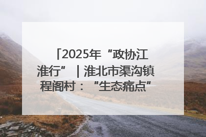 2025年“政协江淮行”｜淮北市渠沟镇程阁村：“生态痛点”变“生态景观”