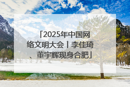 2025年中国网络文明大会丨李佳琦、董宇辉现身合肥