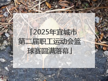 2025年宜城市第二届职工运动会篮球赛圆满落幕