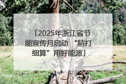 2025年浙江省节能宣传月启动 “精打细算”用好能源