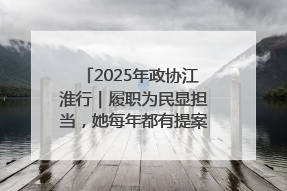 2025年政协江淮行｜履职为民显担当，她每年都有提案被评为“优秀”